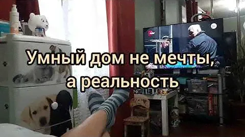 Как же я раньше без него жила?Обзор на Робот-пылесос Polaris PVCR 0735 IQ Home